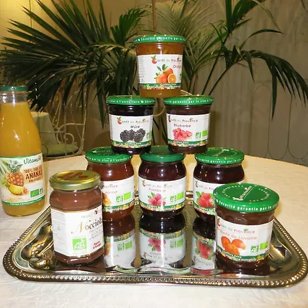 Couette-café Le Vendome Cote Jardin
