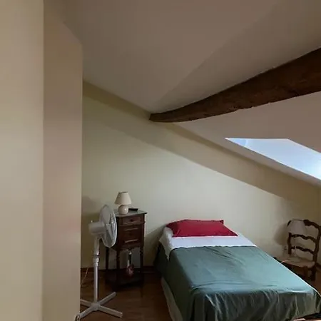 Le Vendome Cote Jardin 2* Tours