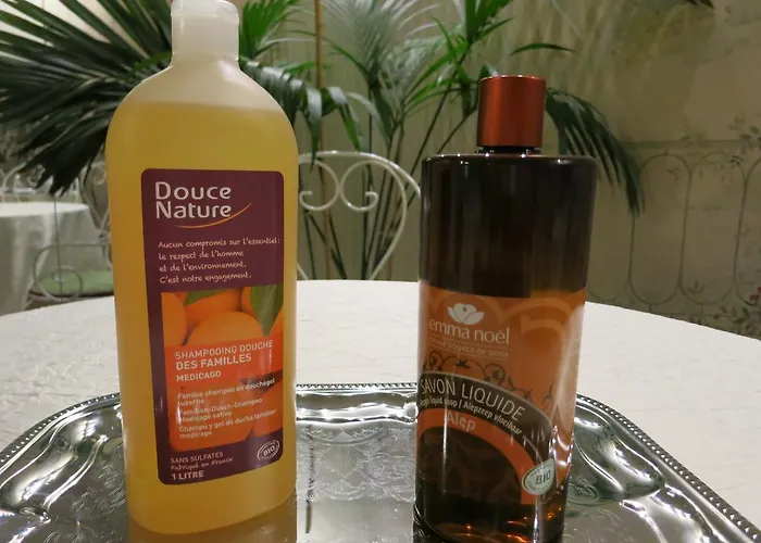 Le Vendome Cote Jardin Bed & Breakfast Tours