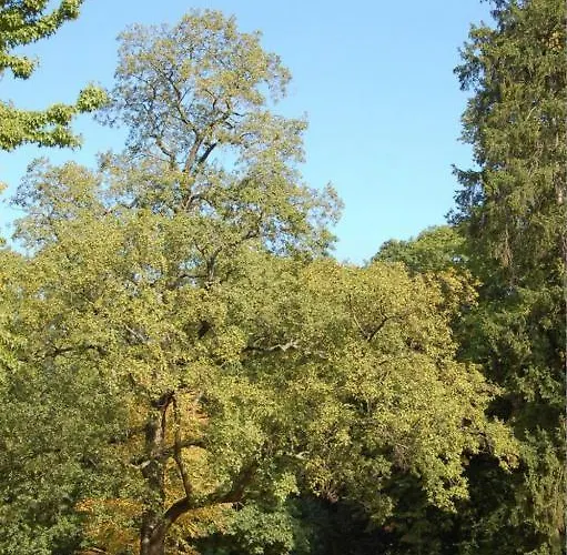 Bed and Breakfast Le Vendome Cote Jardin 2*